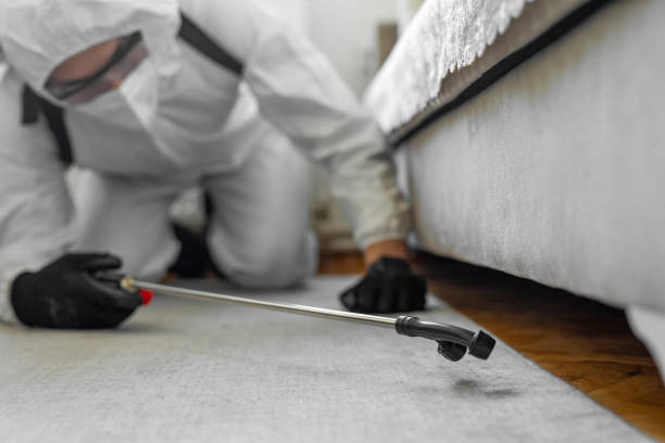 Professional Bed Bug Control technician working in St. Louis County County, MN